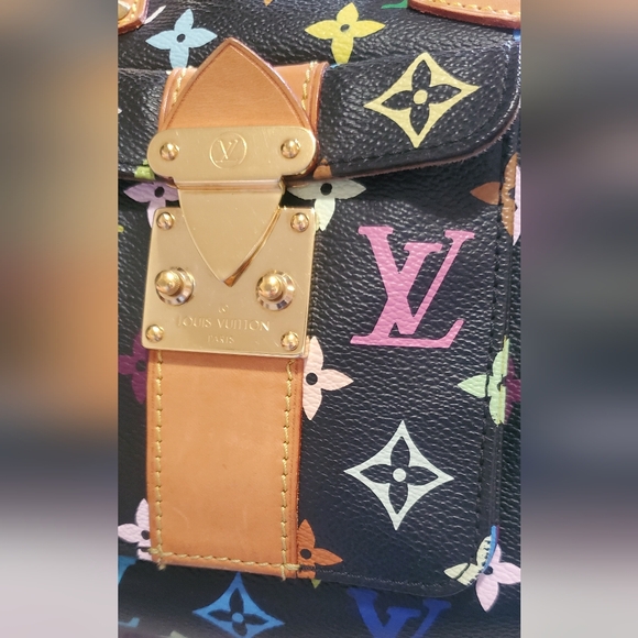 Louis Vuitton Multicolor Speedy - Picture 15 of 16